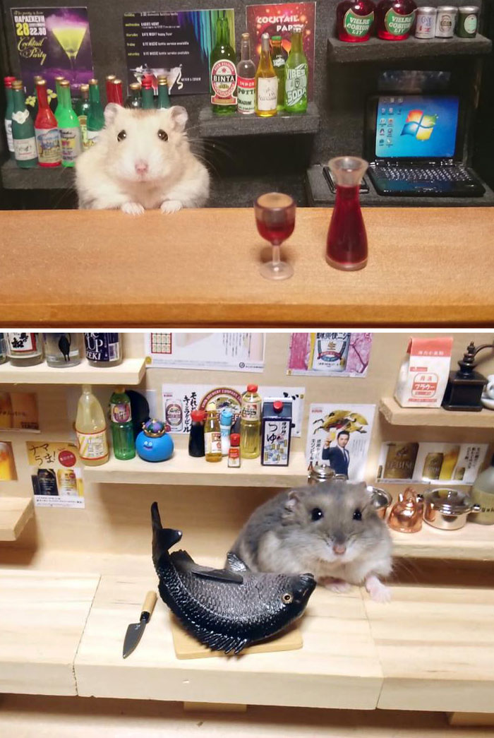 Hamsters as bantenders with tiny food and drinks