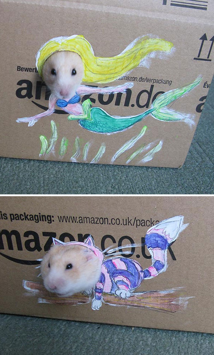 Girl Dresses Hamster Up In Cute Cardboard Costumes