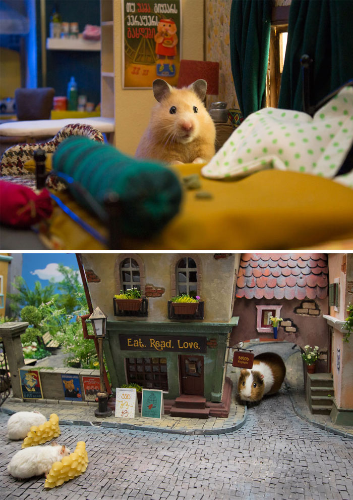 Tardamos 184 horas en crear esta ciudad en miniatura para hamsters