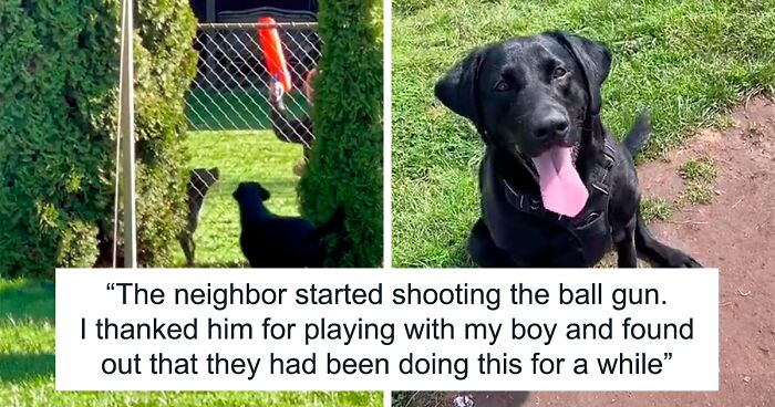 Neighbor Covertly Plays Fetch With Dog But Gets Caught By Owner Amid Wholesome Act