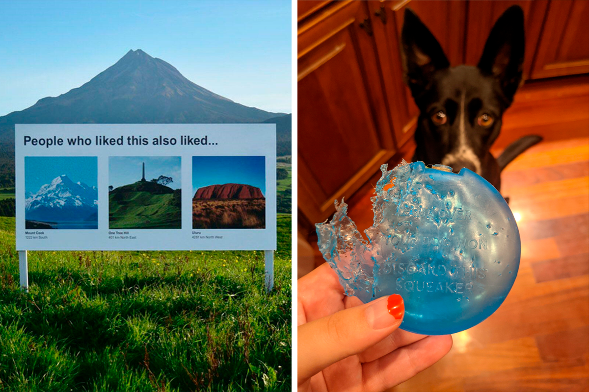 129 Times People Accidentally Found A Real-Life Easter Egg (New Pics)