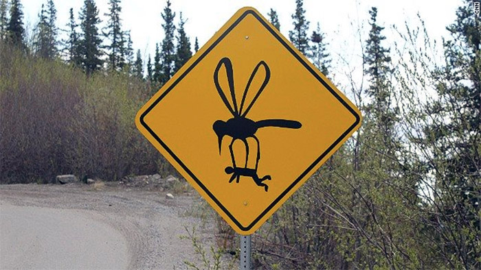 On A Road In Alaska, One Of The Reasons I Never Went Back