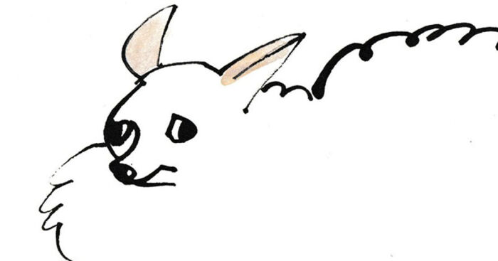 I Made These 7 Doggies To Just Enjoy While I Was Working Hard