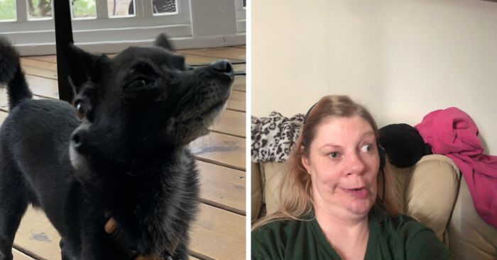 Hey Pandas, Post A Cursed Panoramic Photo (Closed)