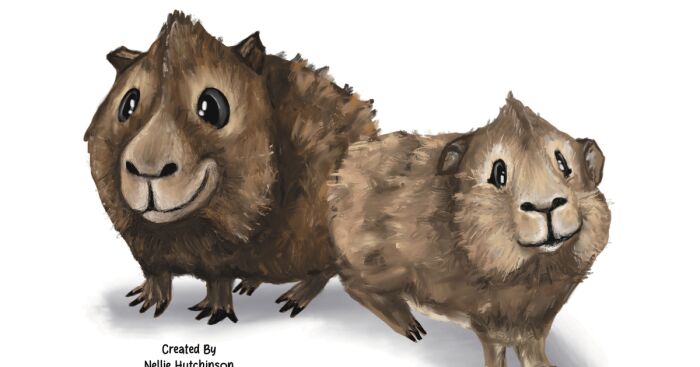 I Self-Published My Own Book “The Adventures Of Guinea Butt And Lacy Loo” (5 Pics)