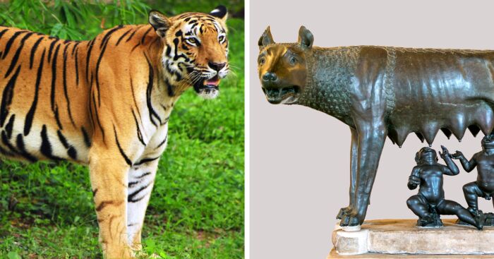 Hey Pandas, Post Your Country’s National Animal (Closed)