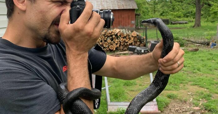 16 Photos Taken With My Homemade Macro Lens, And How To Make Your Own