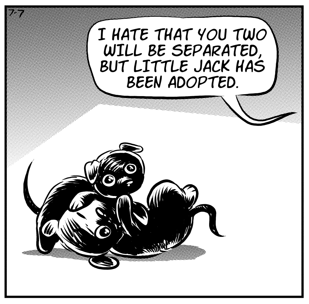 Writing Comics About Foster Dogs Isn’t Always Funny