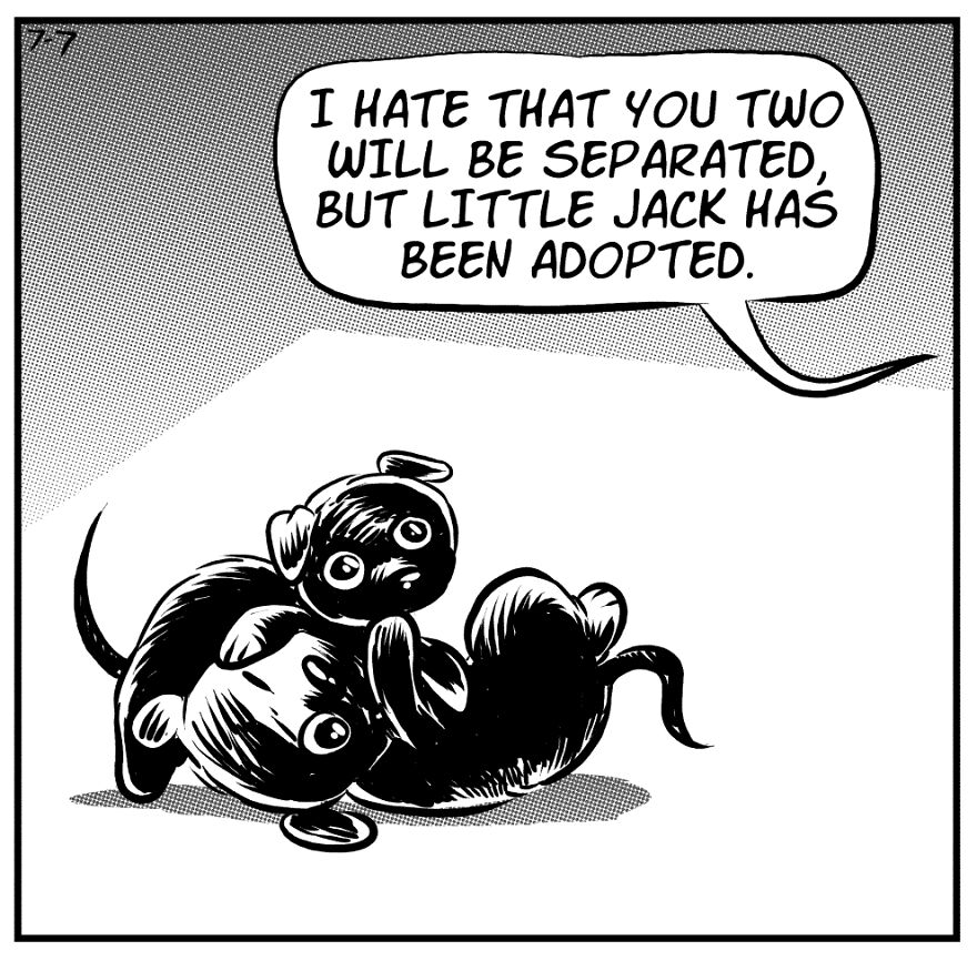 Writing Comics About Foster Dogs Isn't Always Funny