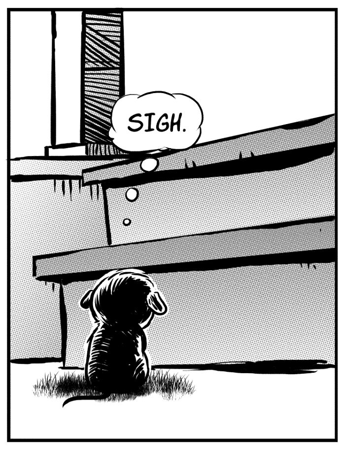 I Make Comics About My Foster Dogs (4 Pics)