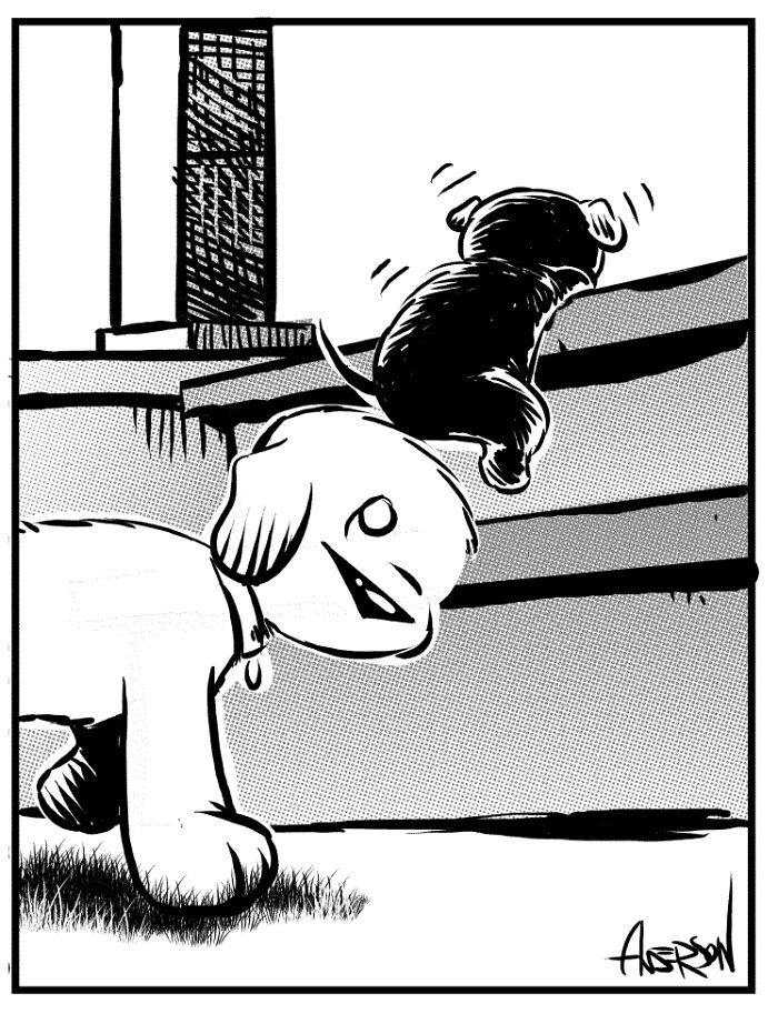 I Make Comics About My Foster Dogs (4 Pics) I Make Comics About My Foster Dogs (4 Pics)