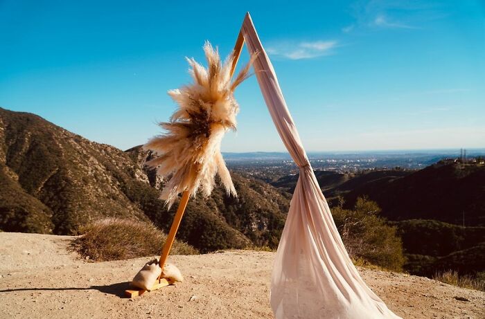 Frugal Bride Shares How She Only Spent $500 For The Whole Wedding With 40 Guests And People Are Applauding Her Ingeniosity Frugal Bride Shares How She Only Spent $500 For The Whole Wedding With 40 Guests And People Are Applauding Her Ingeniosity