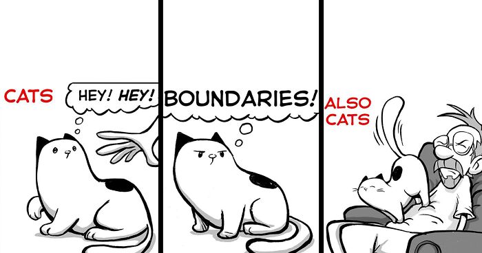Daily Struggles And Life With A Cat: 30 Funny Comics By “How To Cat” (New Pics)