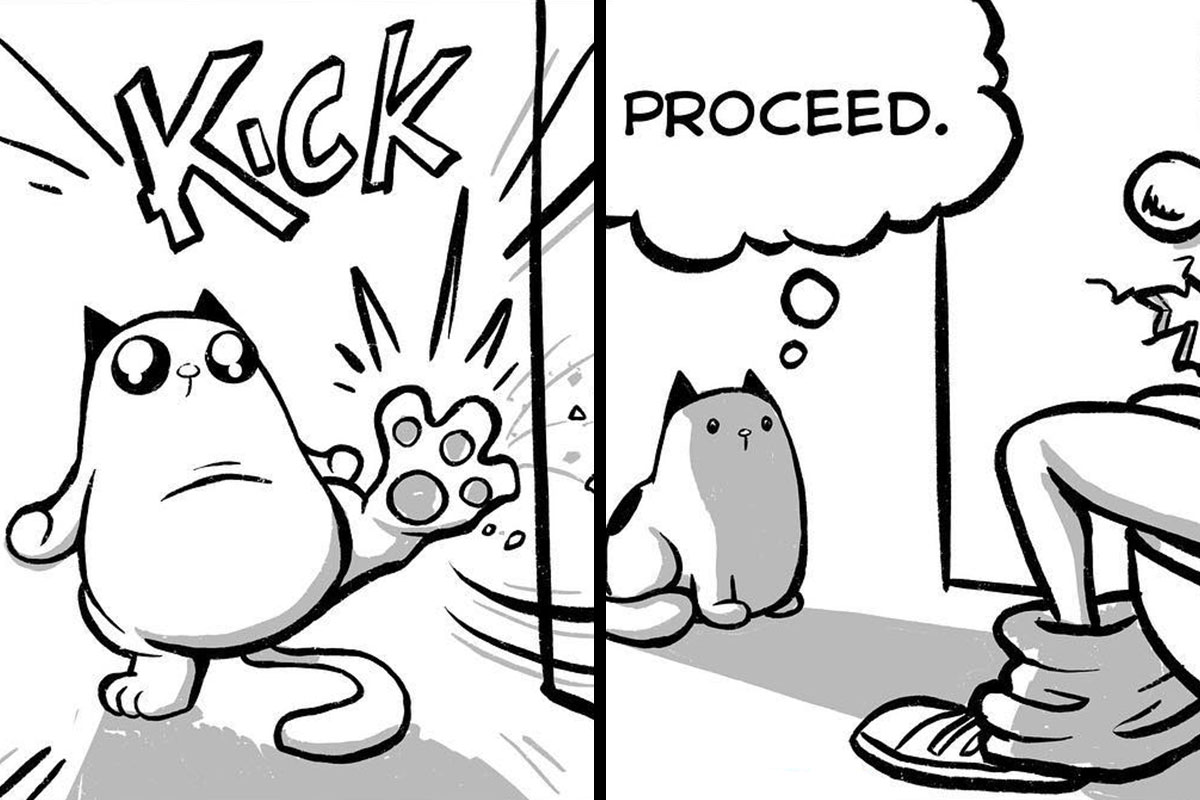 Daily Struggles And Life With A Cat: 30 Funny Comics By 