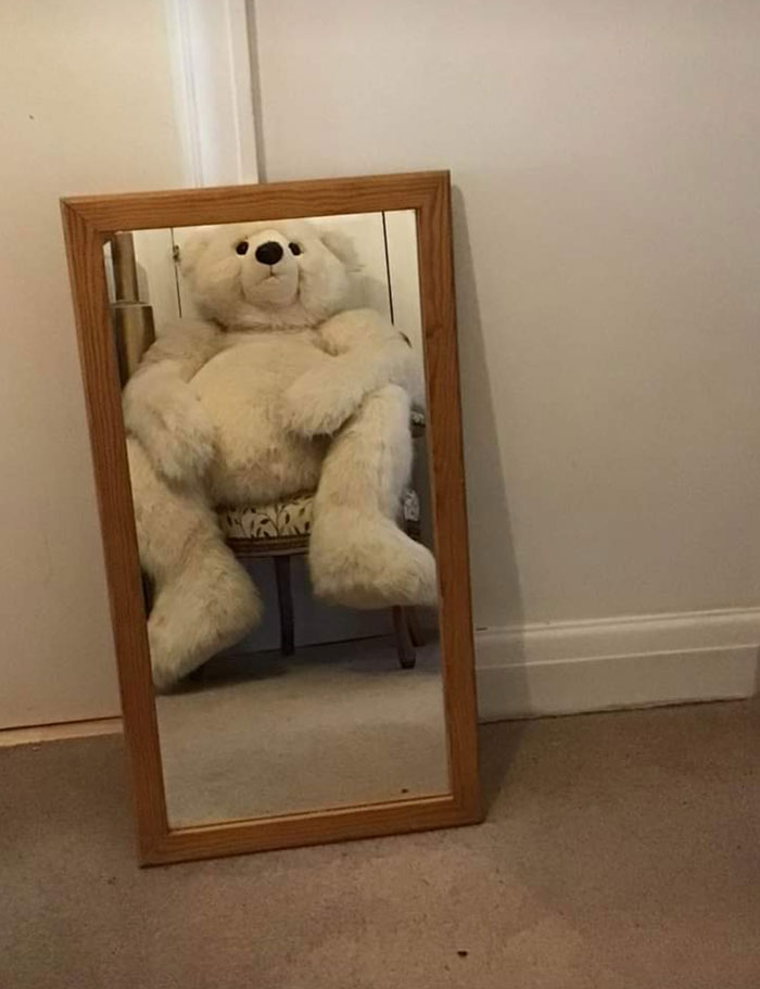 Un oso que vende un espejo