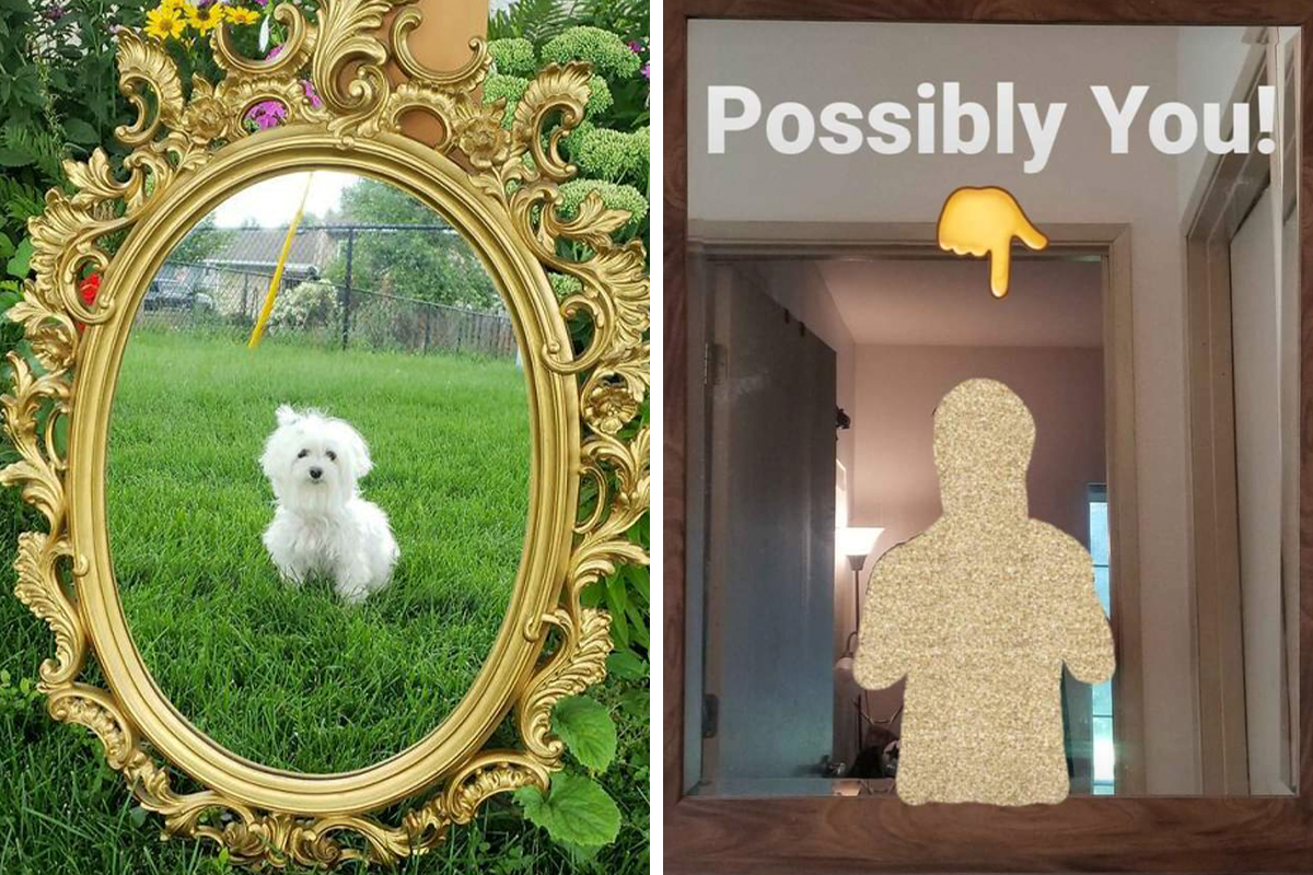 116 Times People Tried To Sell Mirrors And The Photos They Took Showed The Funniest Reflections