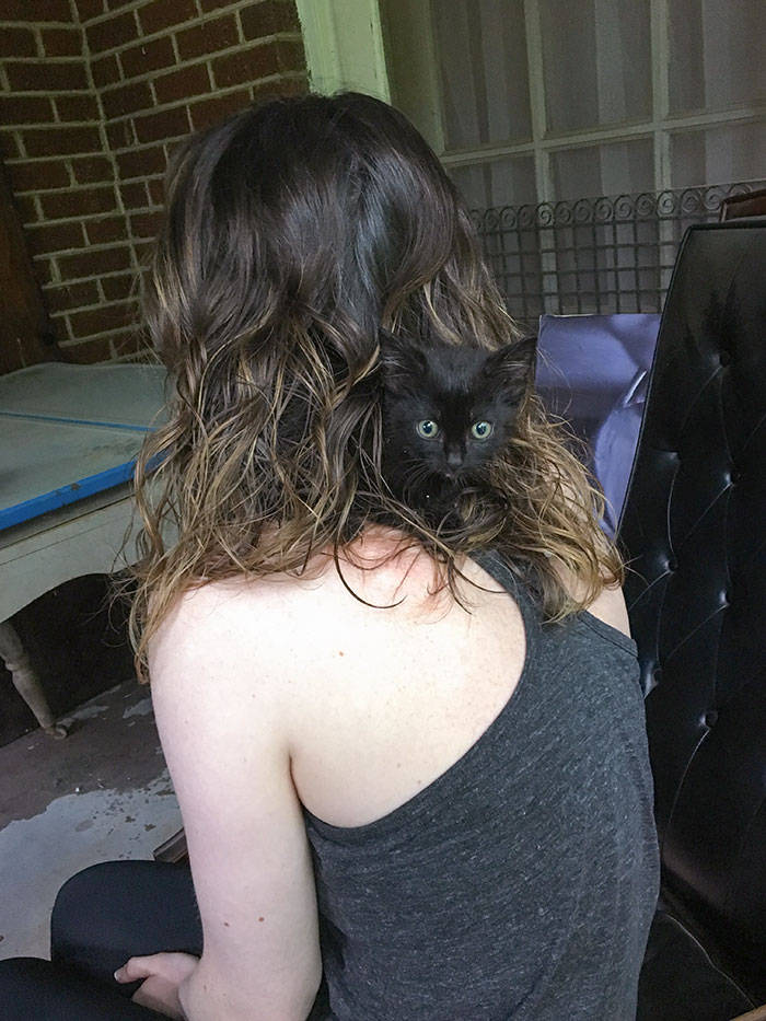 Found This Little Guy Today. He Felt Safe Hiding In My Girlfriend's Hair