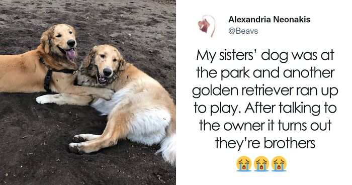 Facebook Group Shares 50 Posts That Show The Worst And Best Of Twitter