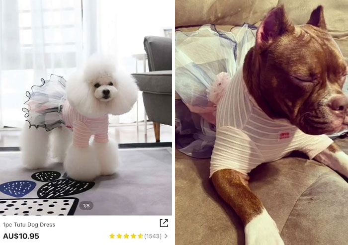 30 Times Shein Customer Reviews Were Even More Entertaining Than The Products They Sell