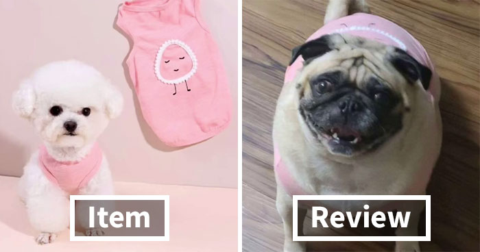 30 Times Shein Customer Reviews Were Even More Entertaining Than The Products They Sell