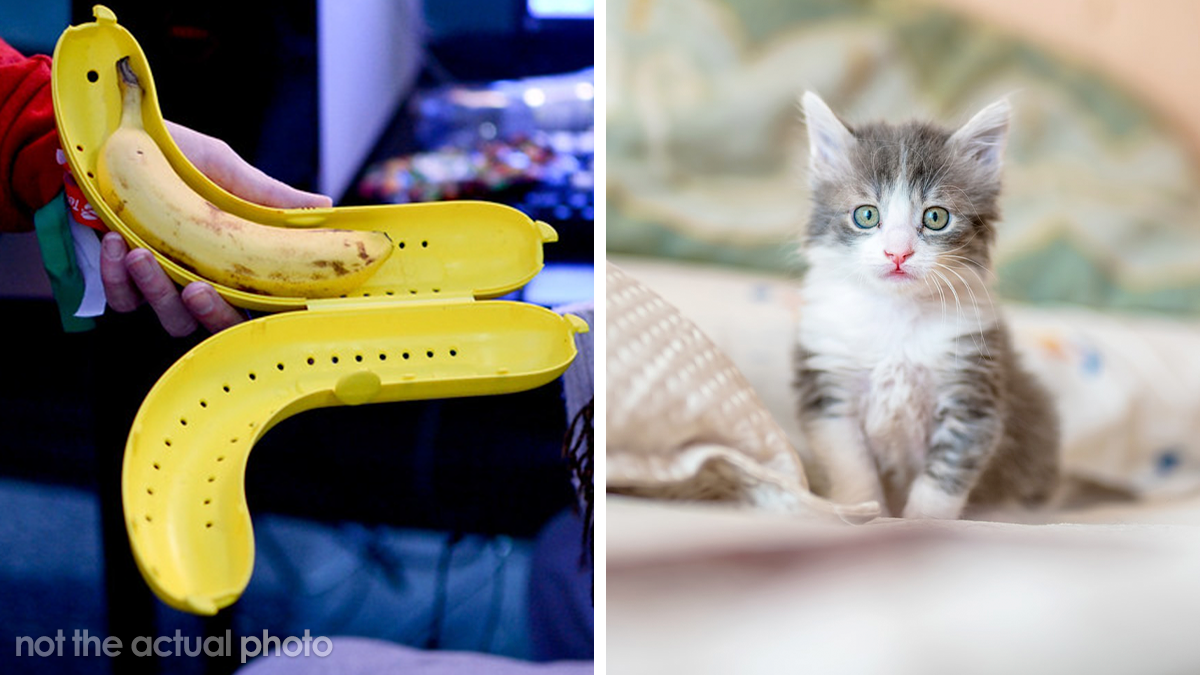 30 People Share Unexpected Gifts They Received That Turned Out To Be Very Valuable