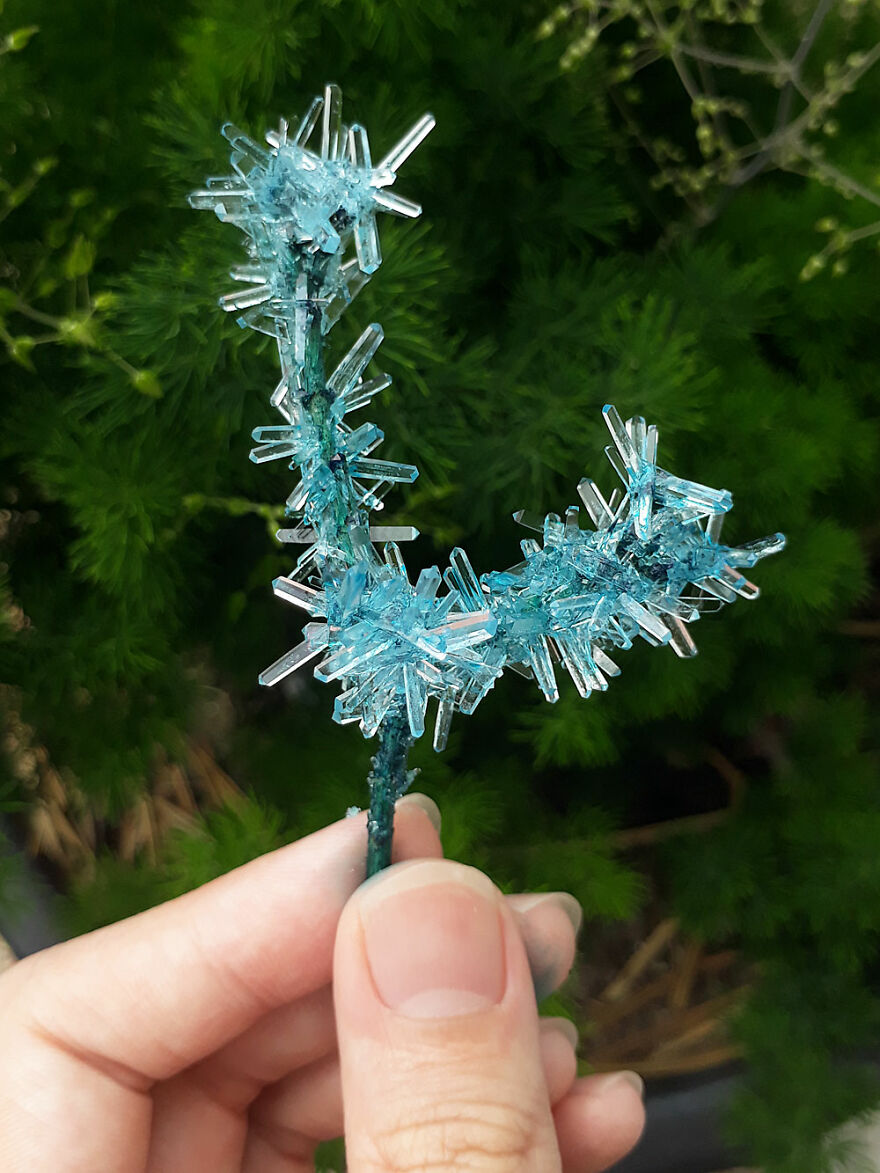 #3 Crystallized Branch