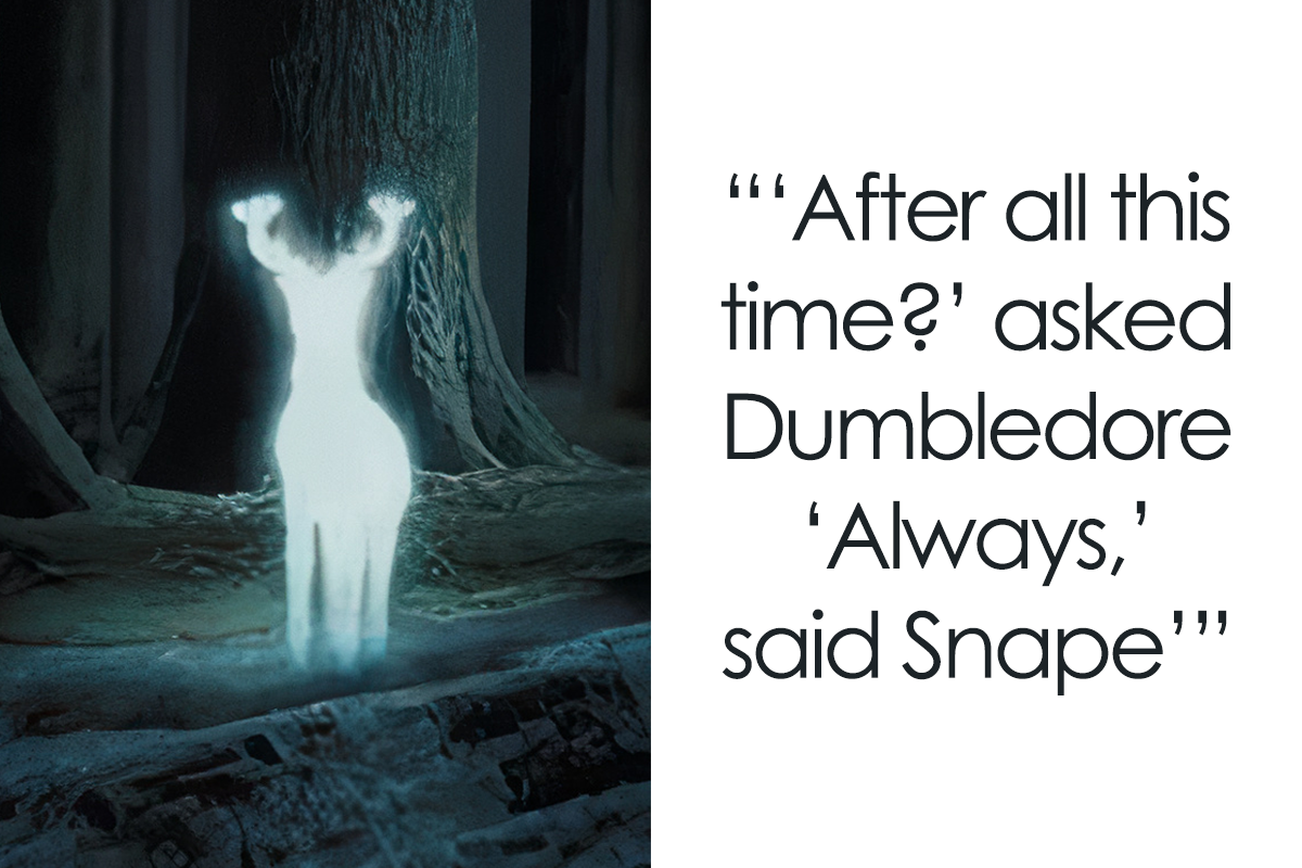 112 Harry Potter Memes That Will ~Always~ Make You Laugh