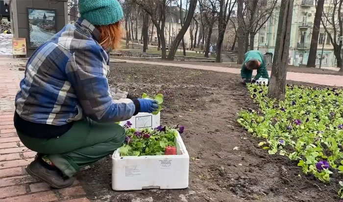 “War Is War, But Flowers Still Need To Be Planted” - The View Of A Kyiv City Gardener, Bringing Spring Colour To The City. She’s Hopeful That Conflict Will Be Over Soon And Wants The Capital Looking Beautiful Again
