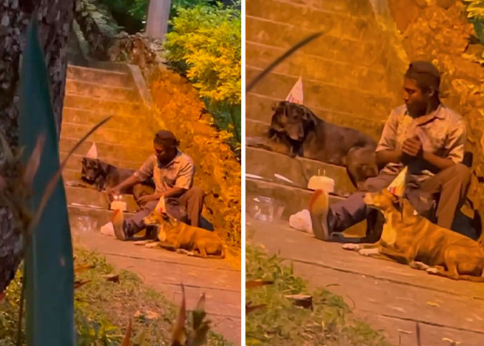 Homeless Man’s Birthday Party For His Dog Warms The Hearts Of Many, Leading To A Better Life For Them All