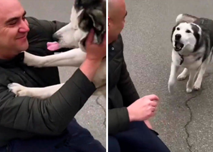 Wholesome Video Shows The Moment A Husky Is Reunited With Its Owner In Bucha, Ukraine, After Separation Caused By Russian Attacks