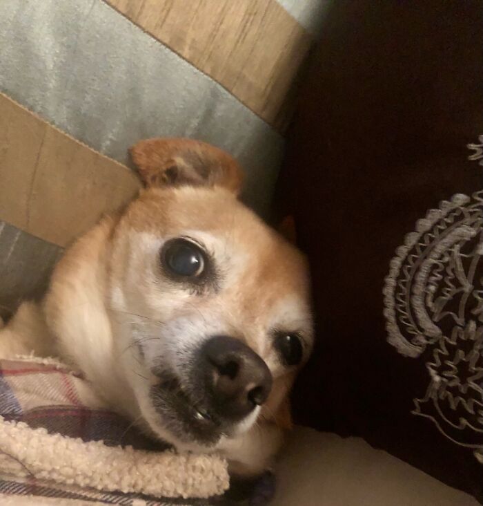 At 14, Missing Much Of His Teeth But None Of Charm.