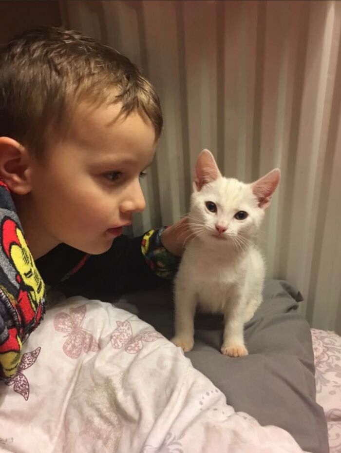 Storm And My Son. He’s Has Always Loved Cats But Had Never Seen A Kitten In Real Life.