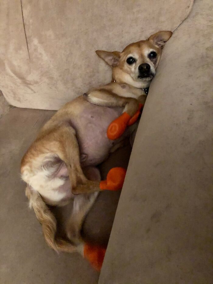 Keeping “Socks” On