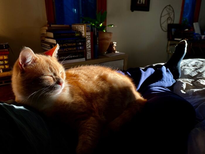 Obvs. The Bed With Pandorica