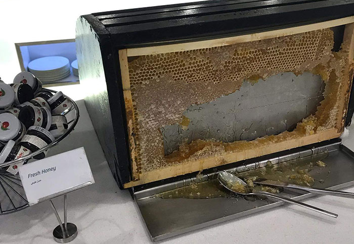 This Hotel Serves Fresh Honey Straight From The Hive
