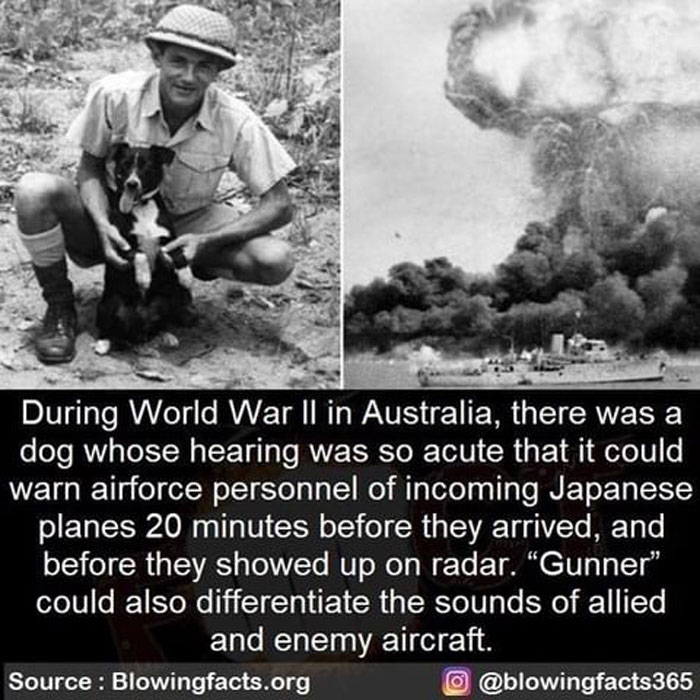 Australia, World War II