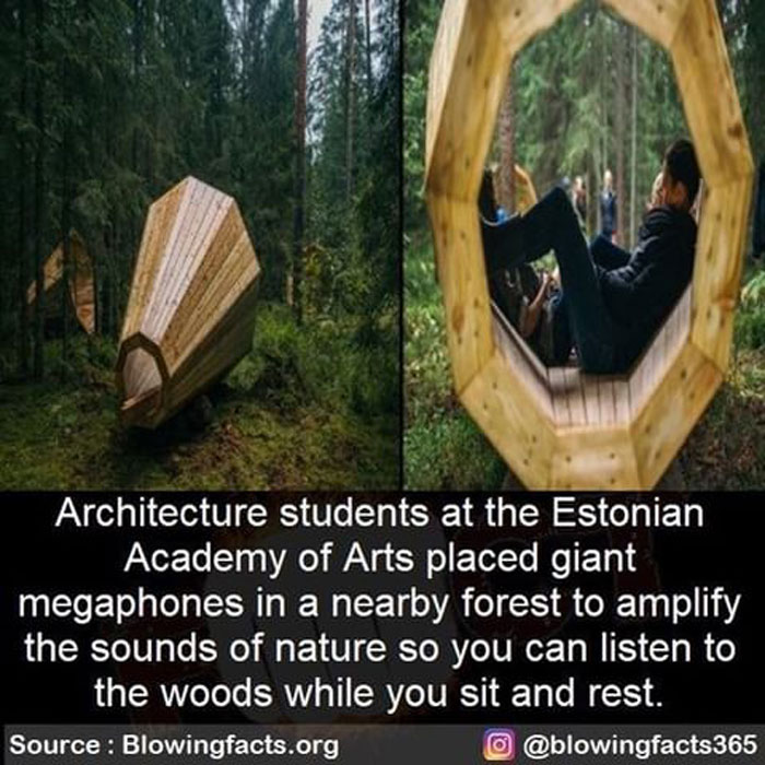 Students In Estonia