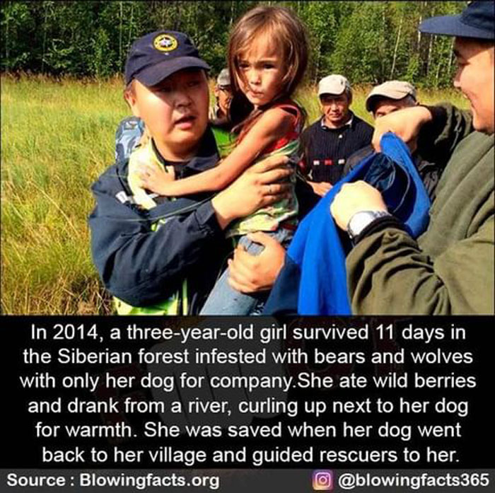 Girl Save By Her Dog