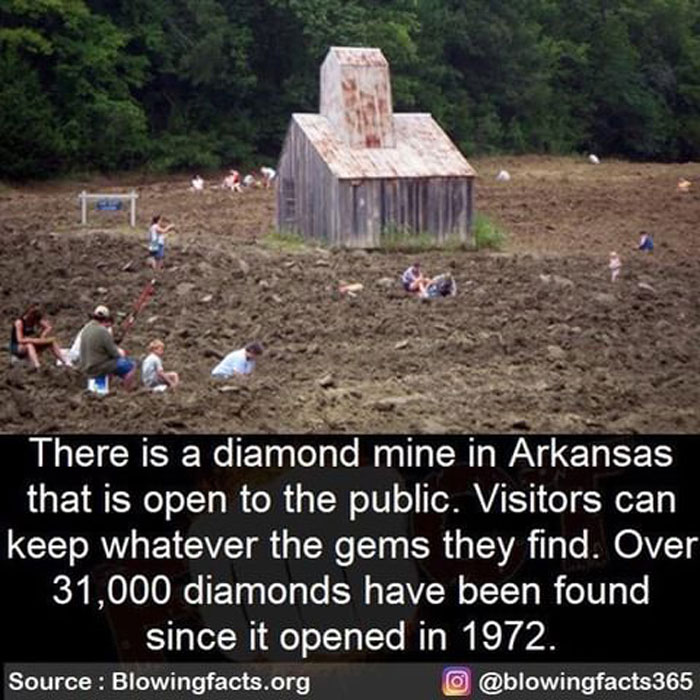 Public Diamond Mine