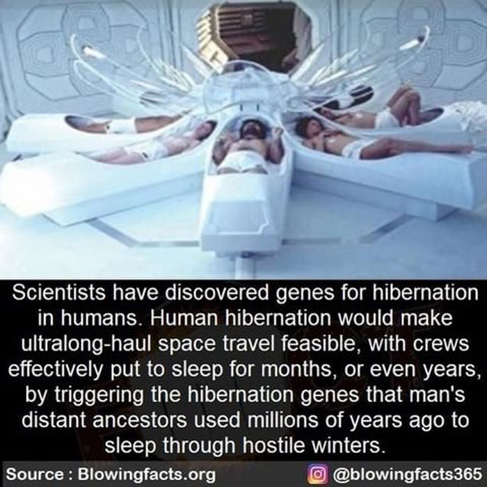 Hibernation Genes In Humans