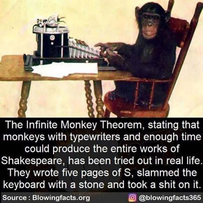 The Infinite Monkey Theorem