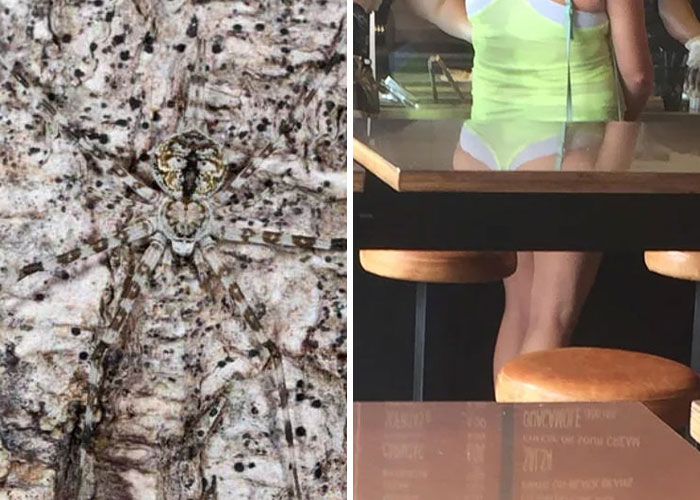 “It’s Fine Until You Look Closer”: 35 Photos By Our Community