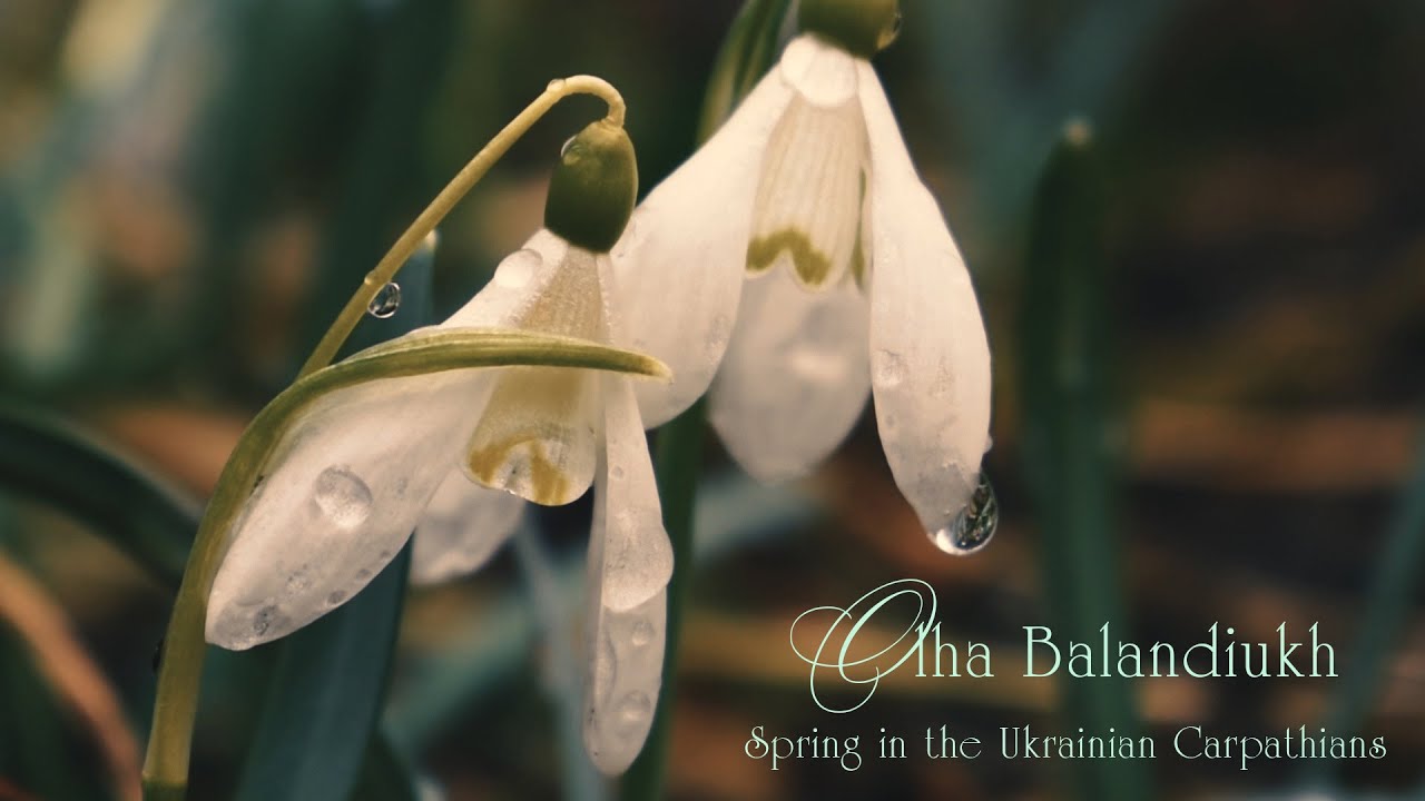 I Composed And Created Soundtracks Of Ukrainian Nature