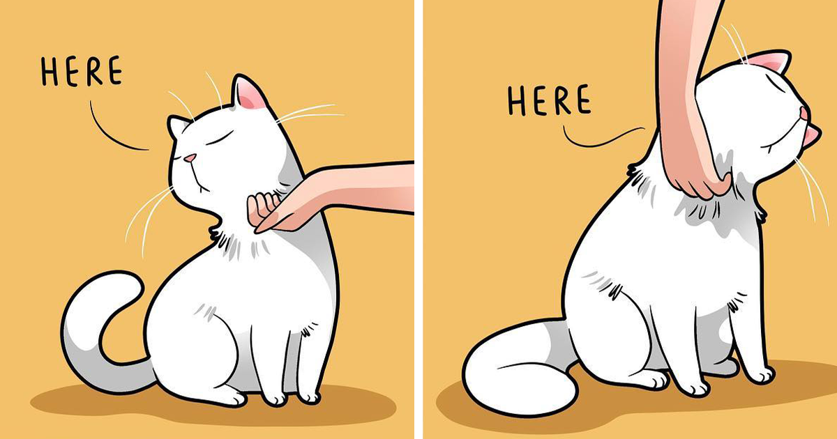 Artist Illustrates Funny Realities Of Living With A Cat (35 New ...