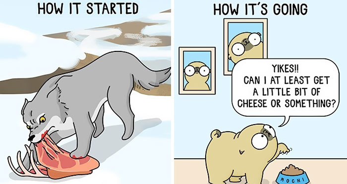 30 New Adorably Funny Comics About A Dog And Its Owner By This Artist