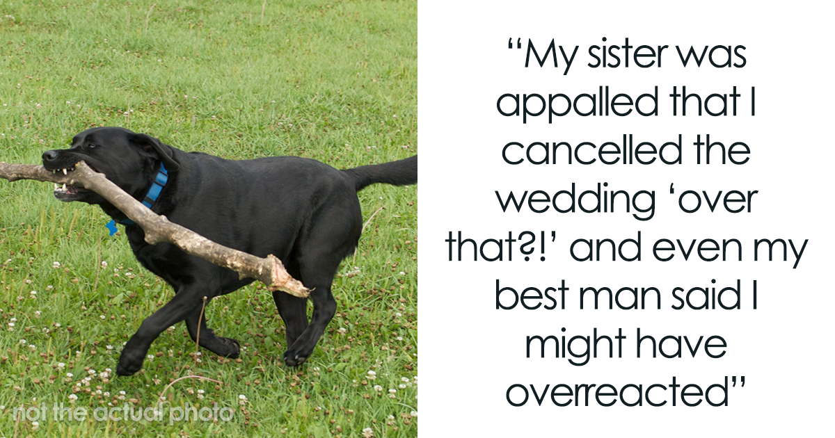 Man Gets Furious After Fiancée's Carelessness Gets His Dog Sick, Cancels The Wedding - Vimarsana News