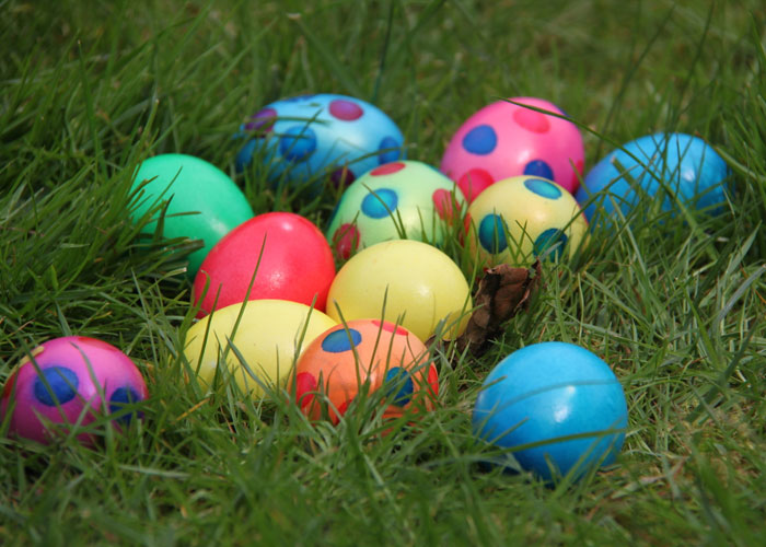 Guy Told His Neighbor He Can't Hide Easter Eggs In His Backyard, Neighbor Tries To Do It Anyway Guy Told His Neighbor He Can't Hide Easter Eggs In His Backyard, Neighbor Tries To Do It Anyway