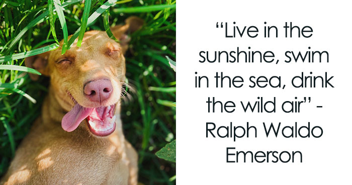 The Best Nature Quotes That Will Make You Want To Live Off-Grid