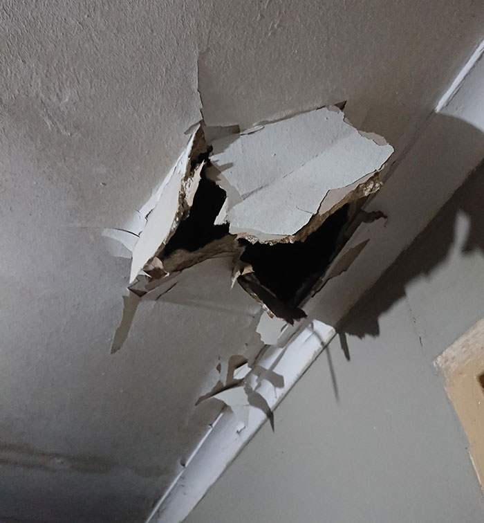 "Stop Complaining About Your Neighbors": Guy Maliciously Complies To Landlord's Request, Waits Until Neighbor Falls Through The Ceiling "Stop Complaining About Your Neighbors": Guy Maliciously Complies To Landlord's Request, Waits Until Neighbor Falls Through The Ceiling