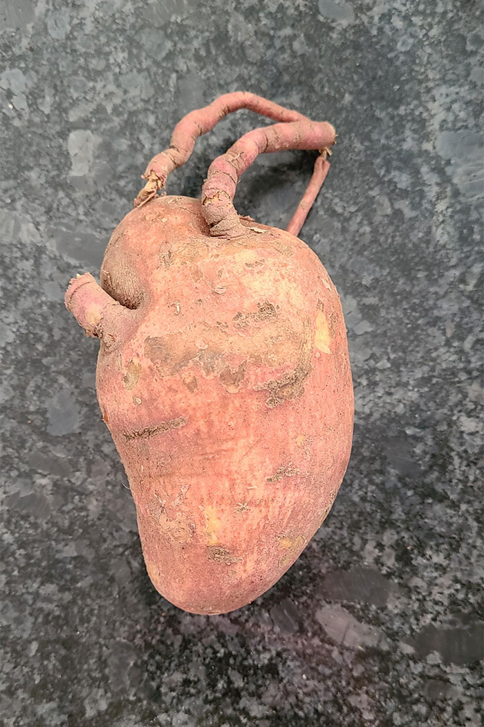 This Sweet Potato That Looks Like A Human Heart